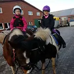 Wohlfuehlurlaub Auf Dem Reit- Und Goldberg Daire Leezdorf