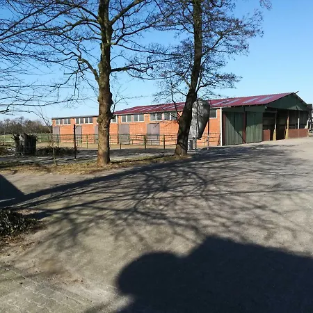 Wohlfuehlurlaub Auf Dem Reit- Und Goldberg