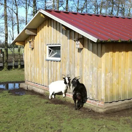Wohlfuehlurlaub Auf Dem Reit- Und Goldberg Leezdorf