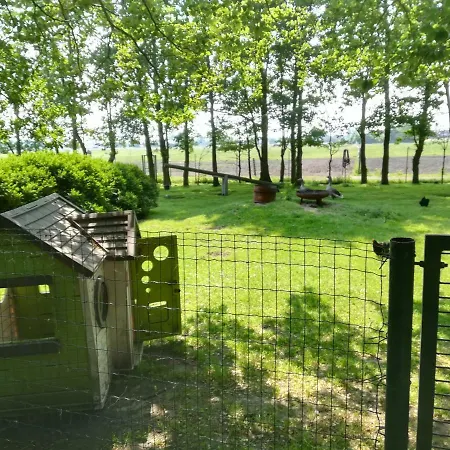 Apartment Wohlfühlurlaub Auf Dem Reit- Und Goldberg *