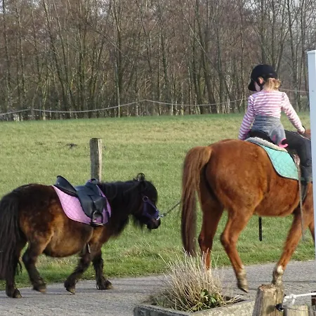 Wohlfuehlurlaub Auf Dem Reit- Und Goldberg Leezdorf