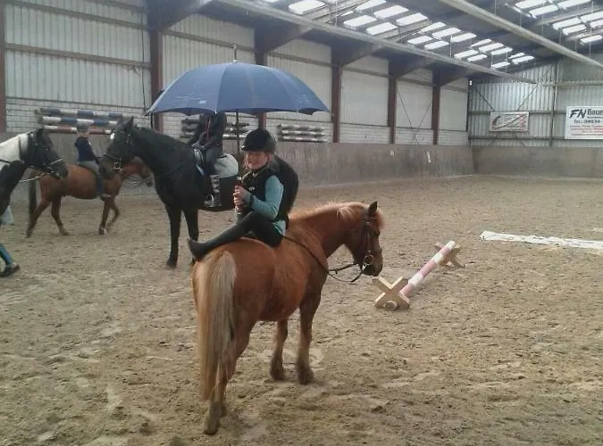 Wohlfuehlurlaub Auf Dem Reit- Und Goldberg * Leezdorf