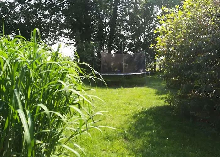 Wohlfuehlurlaub Auf Dem Reit- Und Goldberg Apartment *