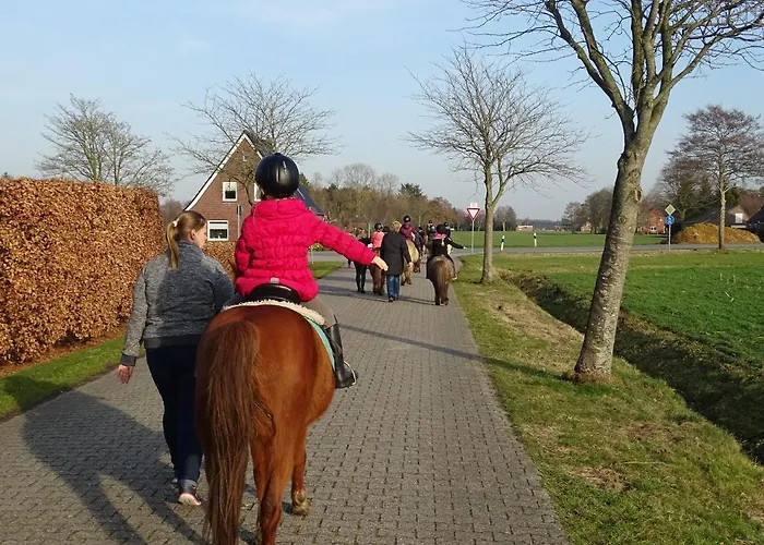 Wohlfuehlurlaub Auf Dem Reit- Und Goldberg *